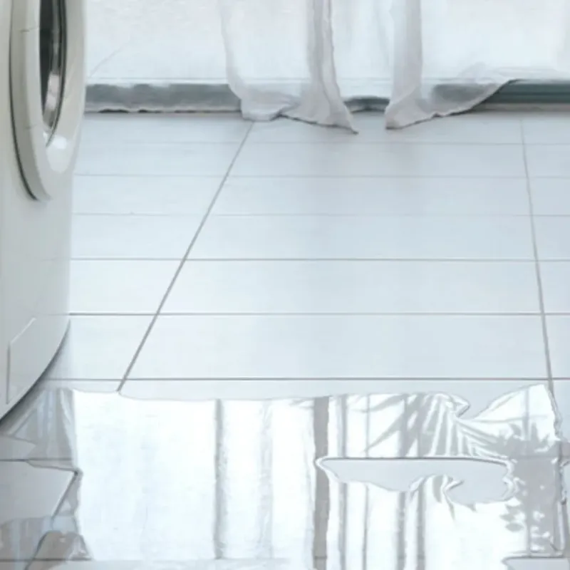Appliance Leak Cleanup in Carbondale, KS
