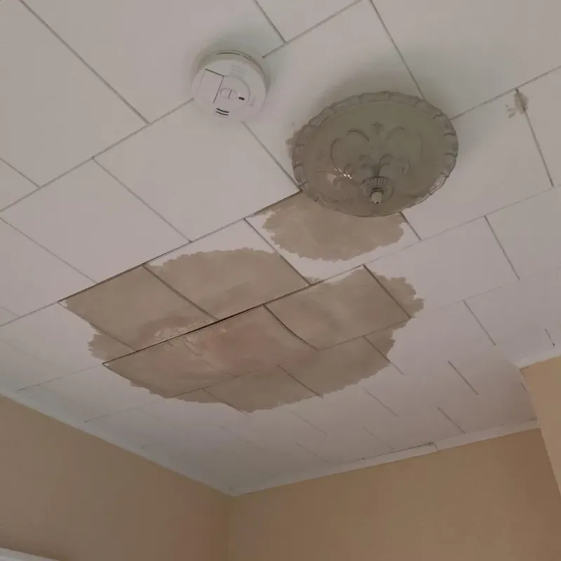 Ceiling Water Damage Repair in Carbondale, KS