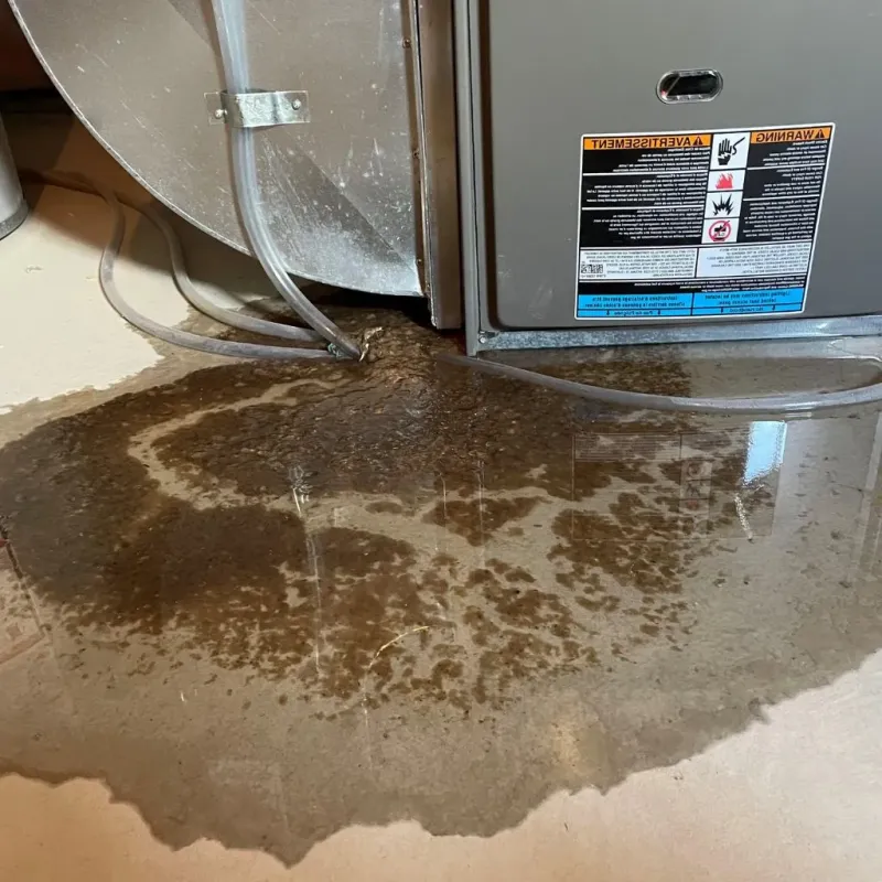 Pipe Burst and Leak Restoration in Carbondale, KS