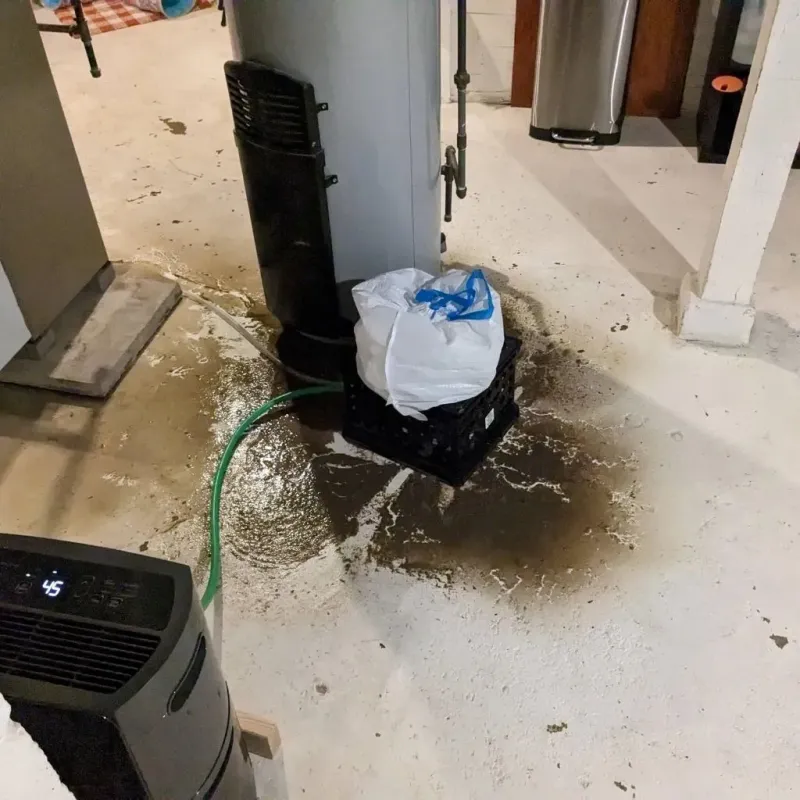 Sewage Backup Cleanup Service in Carbondale, KS